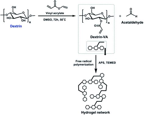 Dextran: A Biopolymer Wonder for Controlled Drug Delivery and Tissue Engineering Applications!