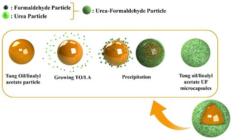  Urea-Formaldehyde: สารยึดเหนียวแห่งอนาคต?