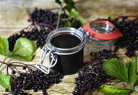 Elderberry: การสกัดสารสีม่วงและการแปรรูปเป็นผลิตภัณฑ์เสริมอาหารคุณภาพสูง!