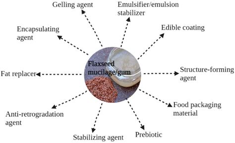  Flaxseed Oil: การสกัดจากเมล็ดพืชและการประยุกต์ใช้ในอุตสาหกรรมอาหารและเครื่องสำอาง!